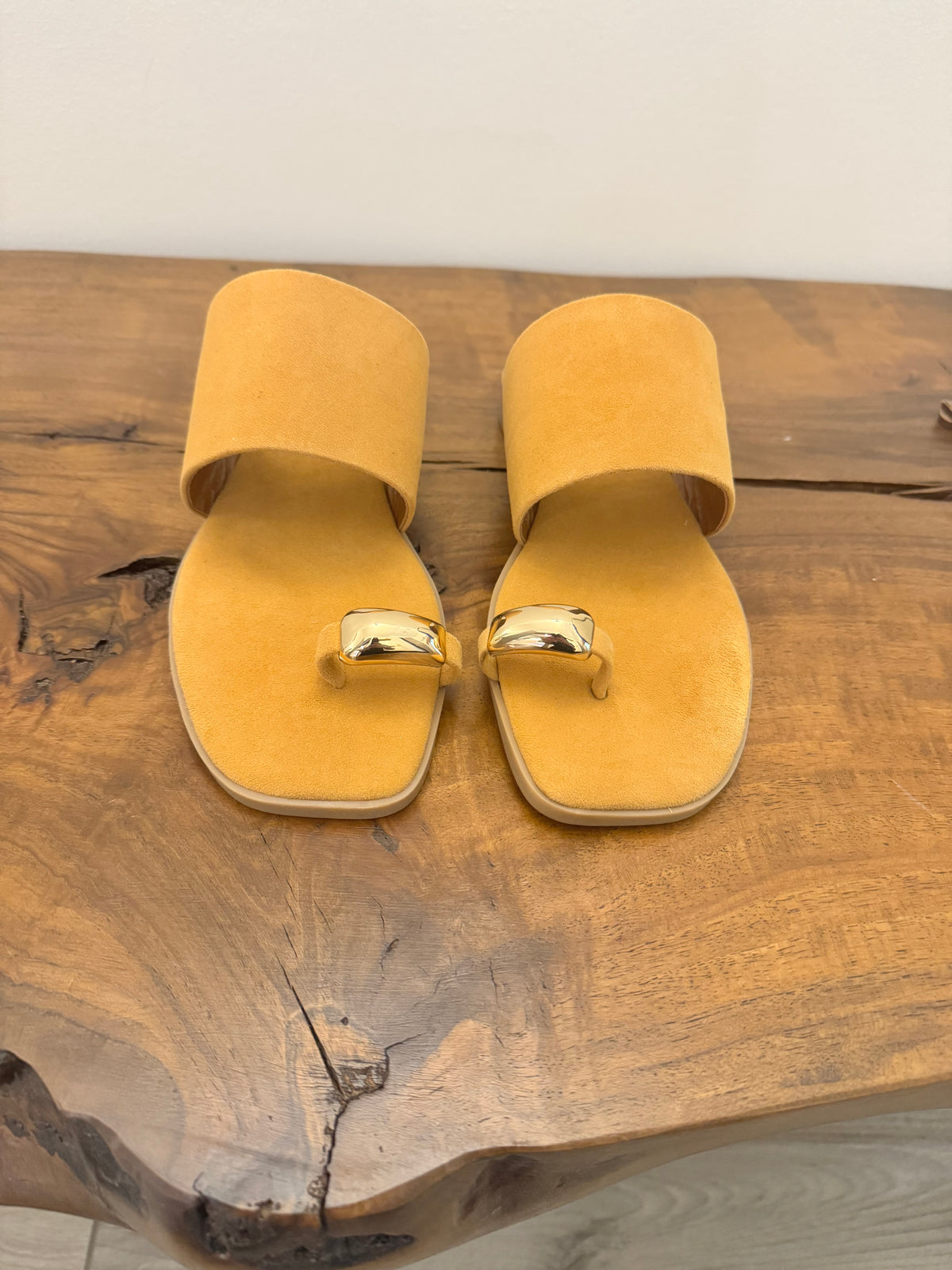CIABATTINA CON FASCIA(variante colore)
