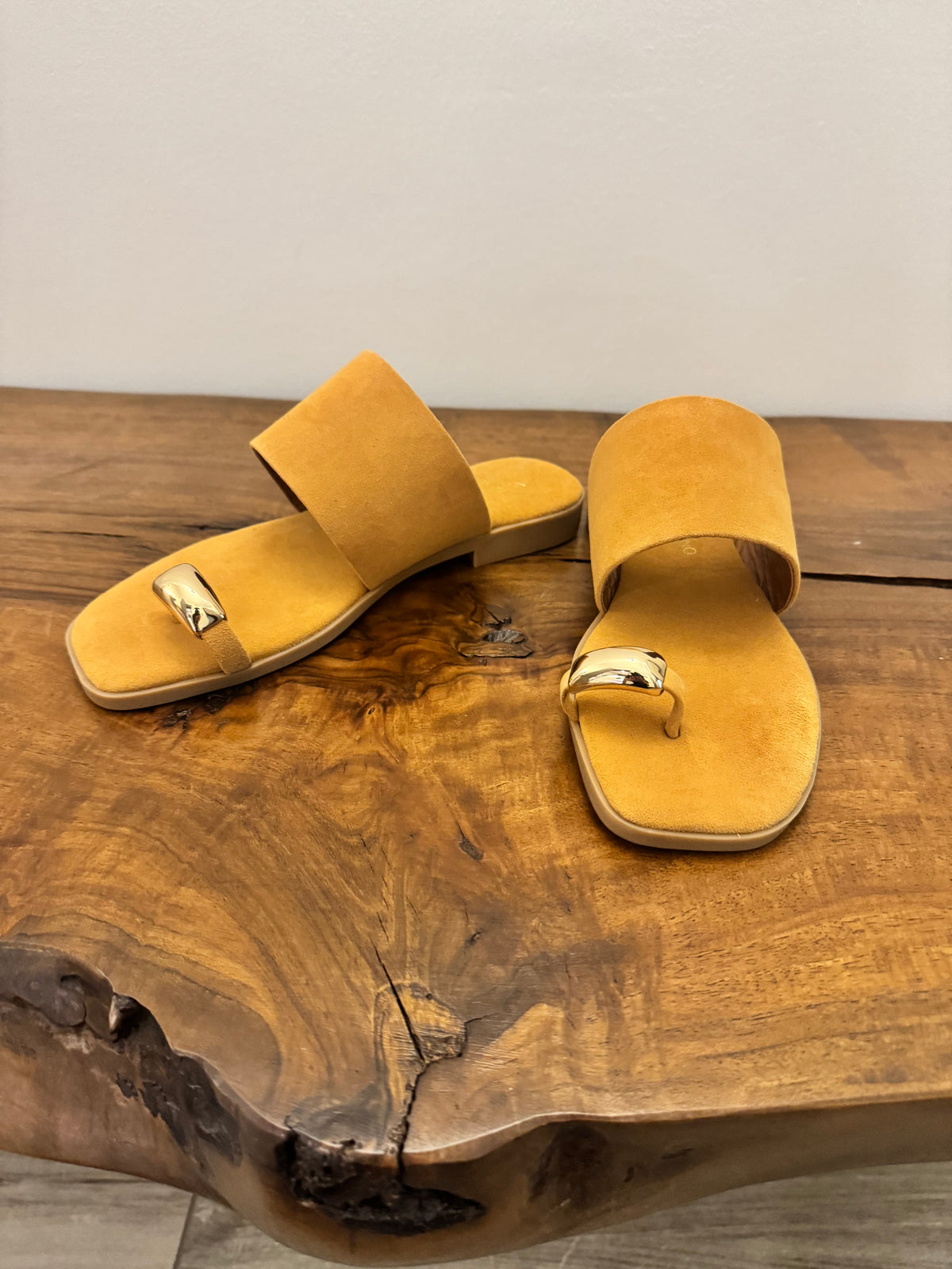 CIABATTINA CON FASCIA(variante colore)