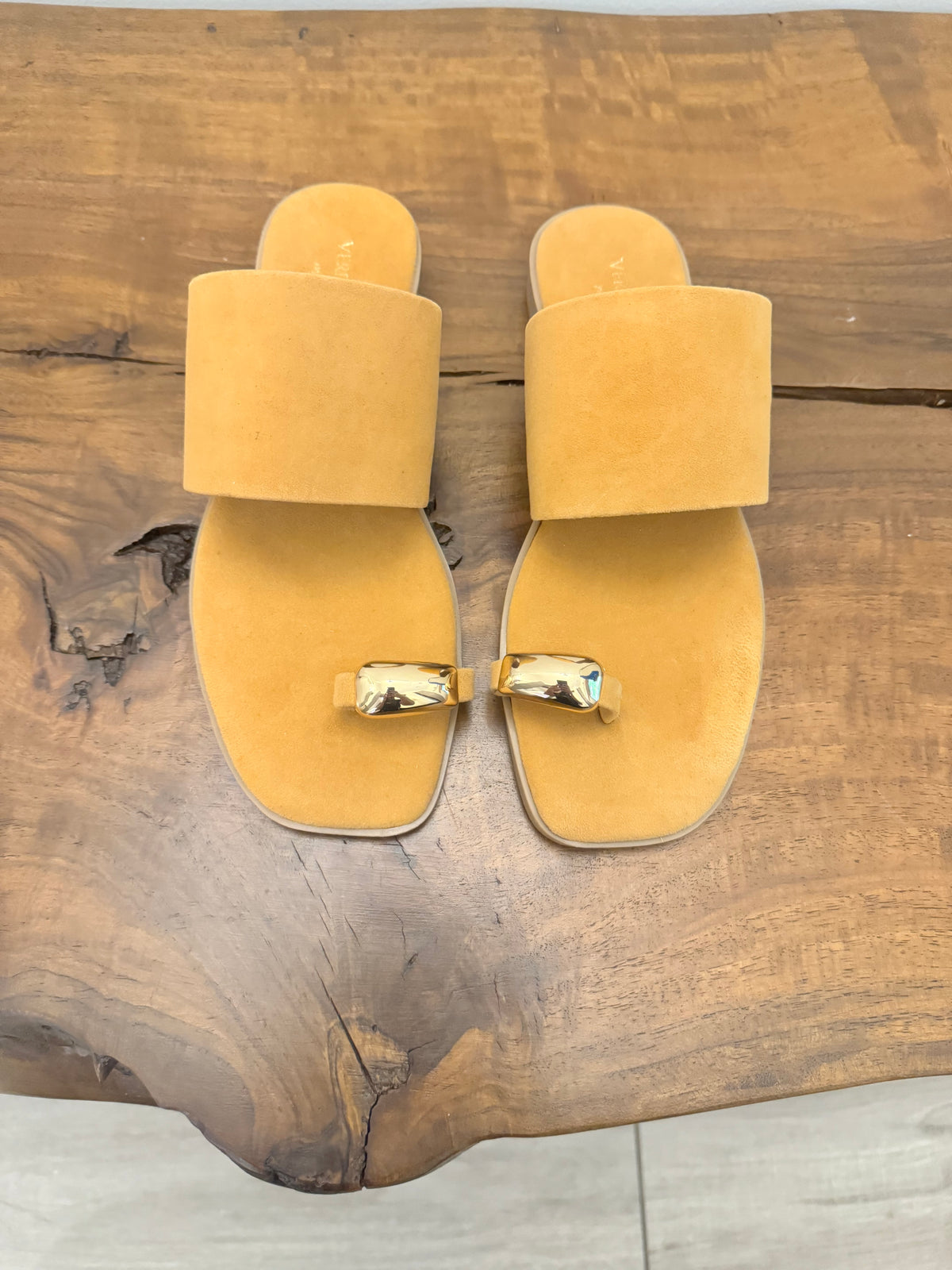 CIABATTINA CON FASCIA(variante colore)